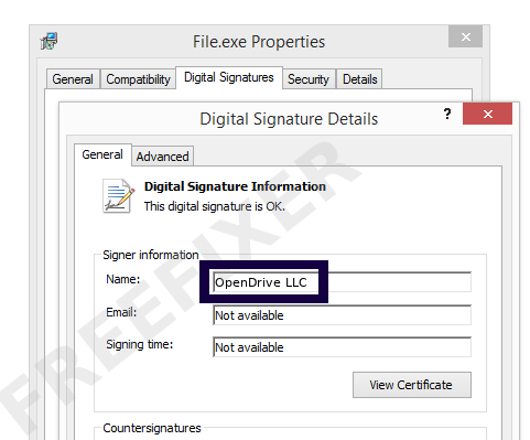 Screenshot of the OpenDrive LLC certificate